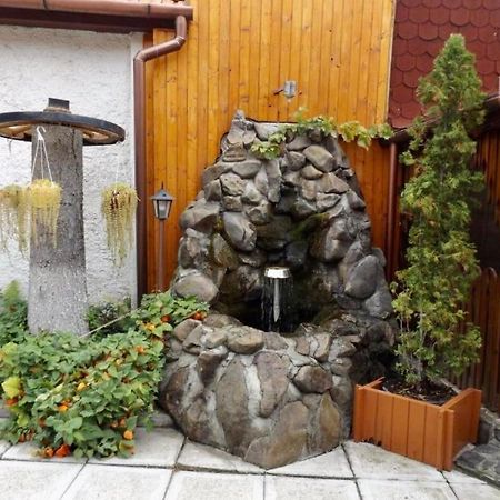 Tulipan Panzio Bed & Breakfast Sfântu-Gheorghe Dış mekan fotoğraf