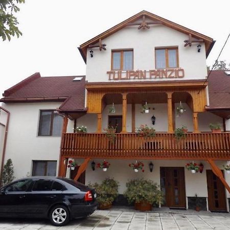 Tulipan Panzio Bed & Breakfast Sfântu-Gheorghe Dış mekan fotoğraf