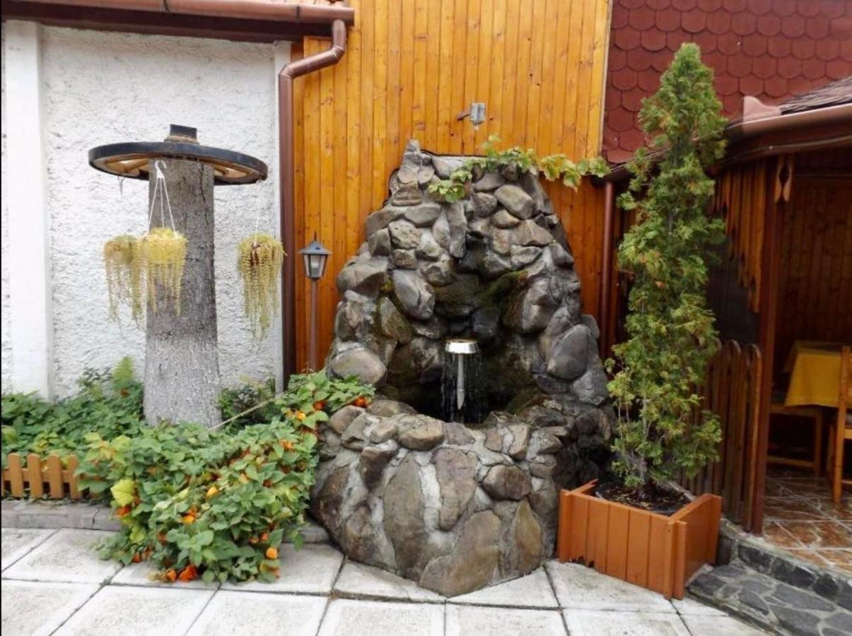 Tulipan Panzio Bed & Breakfast Sfântu-Gheorghe Dış mekan fotoğraf