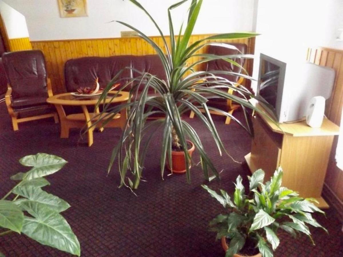 Tulipan Panzio Bed & Breakfast Sfântu-Gheorghe Dış mekan fotoğraf